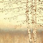 James Wiens Birch Silhouette II
